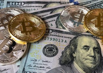 The Rise of Gen Z Traders: The Allure of Shiba Inu Coin in the Cryptocurrency Landscape