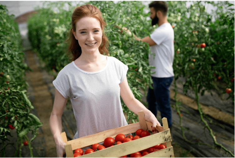 Carl Casale Explores Cultivating Success: Strategic Management Practices in the Agriculture Business