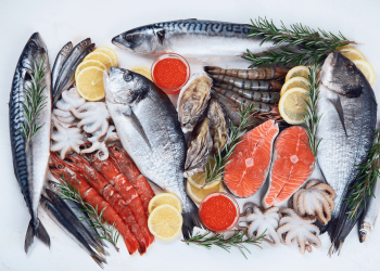 Safety First: LoCo Fish Co. on Upholding Food Safety Standards