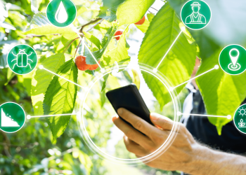 The Intersection of Science and Entrepreneurship in Agriculture: Advice from Meg Miller