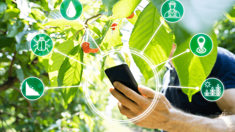 The Intersection of Science and Entrepreneurship in Agriculture: Advice from Meg Miller