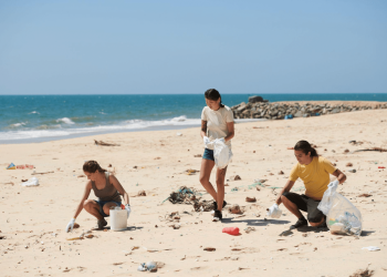 Describing the Impact of Volunteering in the Community
