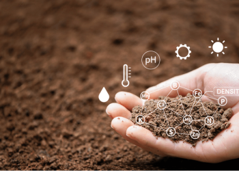 Faiz M Chowdhury Discusses How Carbon Sequestration Can Revolutionize the Energy Sector