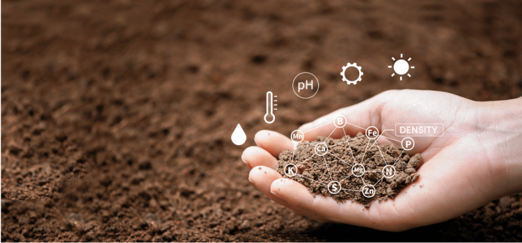 Faiz M Chowdhury Discusses How Carbon Sequestration Can Revolutionize the Energy Sector