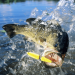 Devan Bald Explores Passing on the Passion: Nurturing the Next Generation’s Love for Bass Fishing