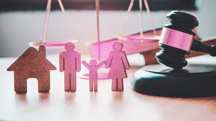 The Road to Advocacy: Samera Habib’s Journey in Establishing The Dadvocates P.C.