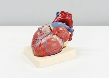 Wellness Trends for Heart Health: Embracing Nature’s Pharmacy