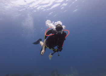 Logan Williams on Combating Climate Change Beneath the Waves: A Scuba Diver’s Call to Action