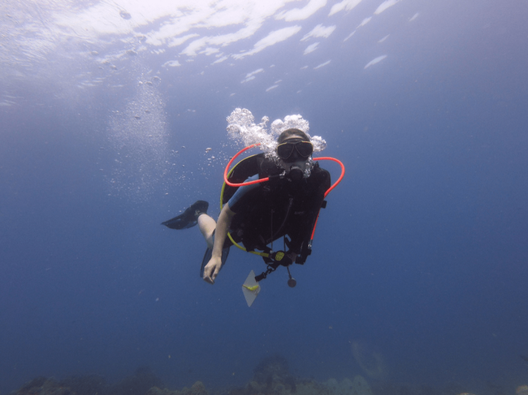 Logan Williams on Combating Climate Change Beneath the Waves: A Scuba Diver’s Call to Action