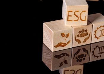 Yazan Al Homsi: Championing ESG in Small-Cap Investments in a Transforming Global Landscape
