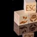 Yazan Al Homsi: Championing ESG in Small-Cap Investments in a Transforming Global Landscape