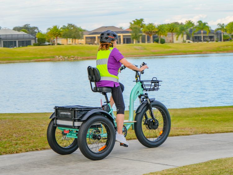 Best Fat Tire Electric Trike for Adults 2024