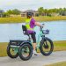 Best Fat Tire Electric Trike for Adults 2024