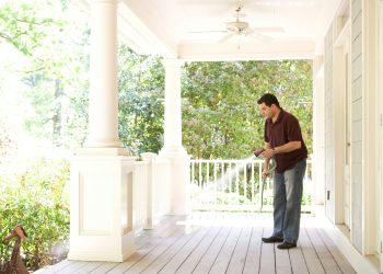 Safe Pest Control: The Best Pest Control in Sydney