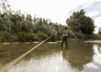 Antoine Smith Temple Shares the Top Fly Fishing Destinations Across the States