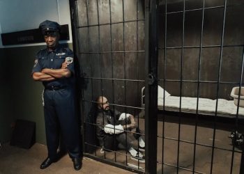 How New Evidence Influences Criminal Appeal