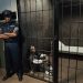 How New Evidence Influences Criminal Appeal