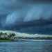 How to Prepare for Hurricane Season with James Graganella