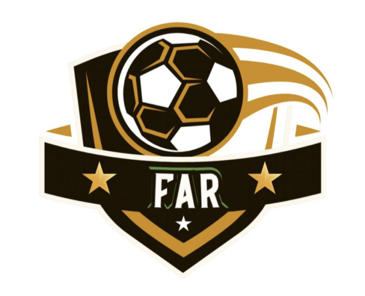 Far Investment Co., Ltd. Reports Strong Growth in H1 2024, Surpassing Market Expectations