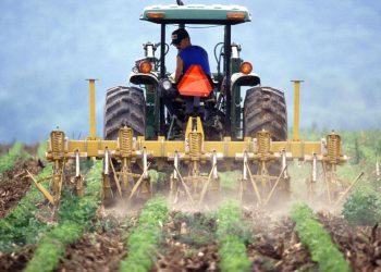 Precision Agriculture: Insights from Meg Miller’s Work at Mizzou