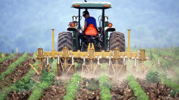 Precision Agriculture: Insights from Meg Miller’s Work at Mizzou