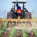 Precision Agriculture: Insights from Meg Miller’s Work at Mizzou