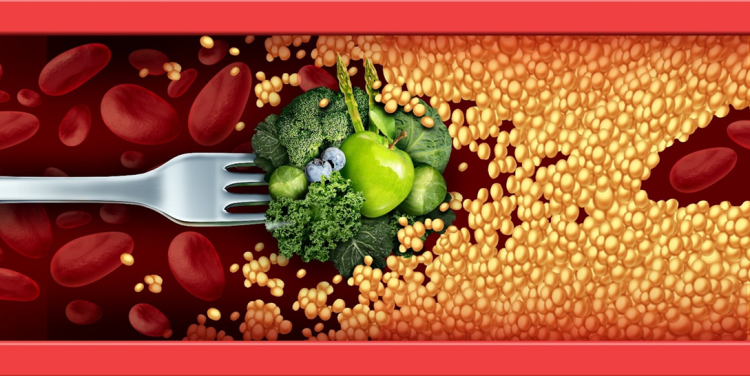 A Cutting-Edge Approach to Cholesterol & Weight Control With Less Restriction: How Scientific Studies Have Shown That Fiber & Antioxidants Can Counteract the Physiological Effects of Junk Food