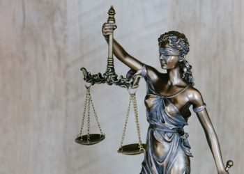 Insights on Effective Case Management Tools for Paralegals in Administrative Law