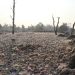Leadership in Crisis: Managing Teams During Disaster Relief Operations