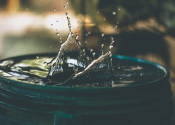 Water Conservation Techniques for Sustainable Farming: Advice from Meg Miller of Mizzou