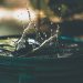 Water Conservation Techniques for Sustainable Farming: Advice from Meg Miller of Mizzou