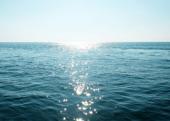 Ocean Acidification Reaches New Depths