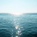Ocean Acidification Reaches New Depths
