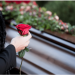 How to Plan a ‘No Fuss’ Funeral: A Minimalist Approach to Saying Goodbye