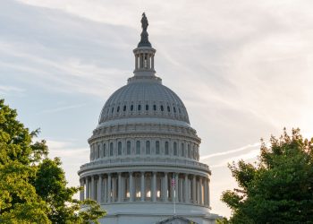 Chris Hannifin and the Risk to American Strategic Autonomy