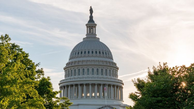 Chris Hannifin and the Risk to American Strategic Autonomy