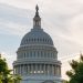 Chris Hannifin and the Risk to American Strategic Autonomy
