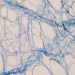Understanding Biological Aging in Organs, Tissues, & Cells