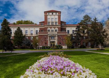 Rocky Mountain College of Art + Design Shows Strong Growth in Denver Art Scene