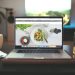 DIY vs. Professional Web Designs: What Small Business Owners Need to Know