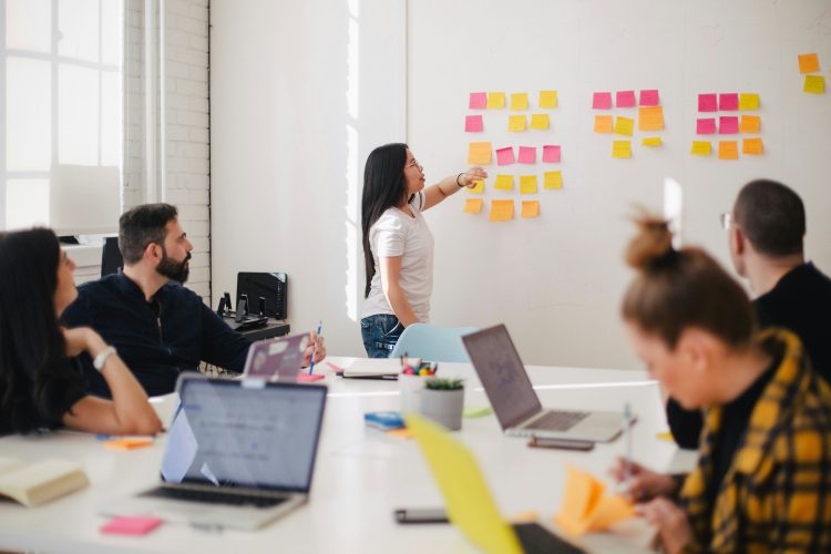 Balancing Risk and Reward: Diversified Business Ventures