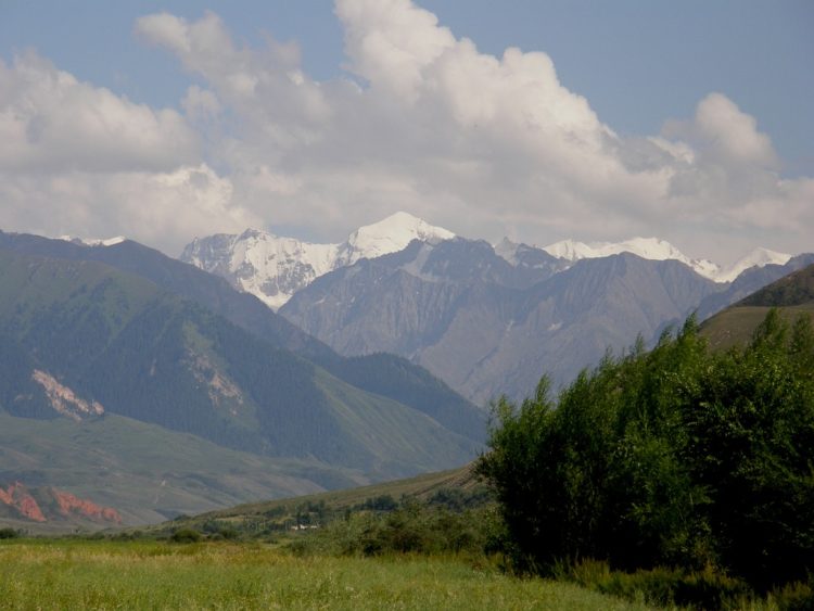 The Backbone of the Tianshan Mountains Paves the Way! Kurla to Buluntai Section of Xinjiang’s Urumqi-Yuli Expressway Opens to Traffic