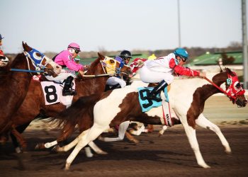 The Preakness Stakes Brings Global Attention and Betting Action