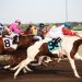 The Preakness Stakes Brings Global Attention and Betting Action
