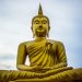 What Forty Years of Teaching Vipassana Has Taught Robert Beatty About Presence