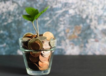 Rupin Banker Explains the Difference Between a Financial Advisor and a Financial Mentor