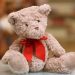Dr. Ann Marie Egloff Provides A Step-by-Step Guide for Starting Your Philanthropic Journey
