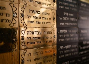 Why Hebrew Is More Than a Language: Exploring the Legacy of the Language with Adam & Daniel Kaplan