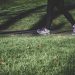 What Is Kinesiology? Understanding the Science of Human Movement