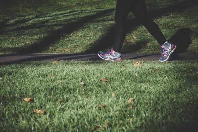 What Is Kinesiology? Understanding the Science of Human Movement